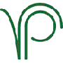 V & P Consulting
