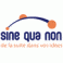 SINE QUA NON