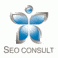 SEO Consult