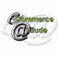 e-commerce Attitude