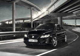 Financement pour automobiles de professionnels : SEAT Exeo