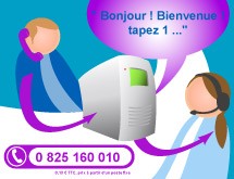 Serveur vocal interactif