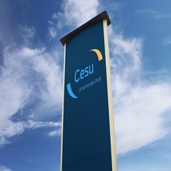 Comment déclarer les CESU aux impôts pour une entreprise ? 