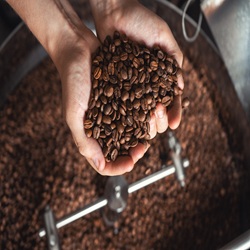 Caffè in grani o macinato: qual è la scelta migliore per l’ufficio? 