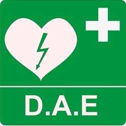 Com que frequência devo substituir consumíveis do DAE?